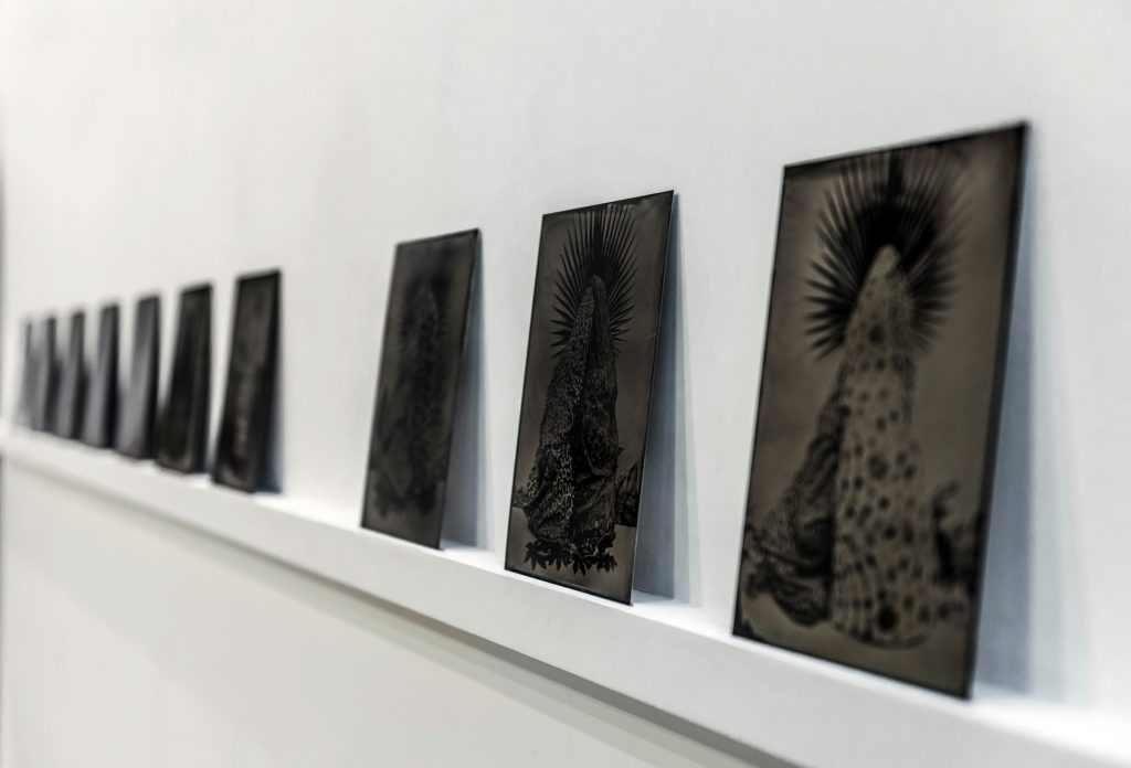 serie sagrario | fotografía al collodión húmedo sobre aluminio | 18x24 cm c/u | 2015