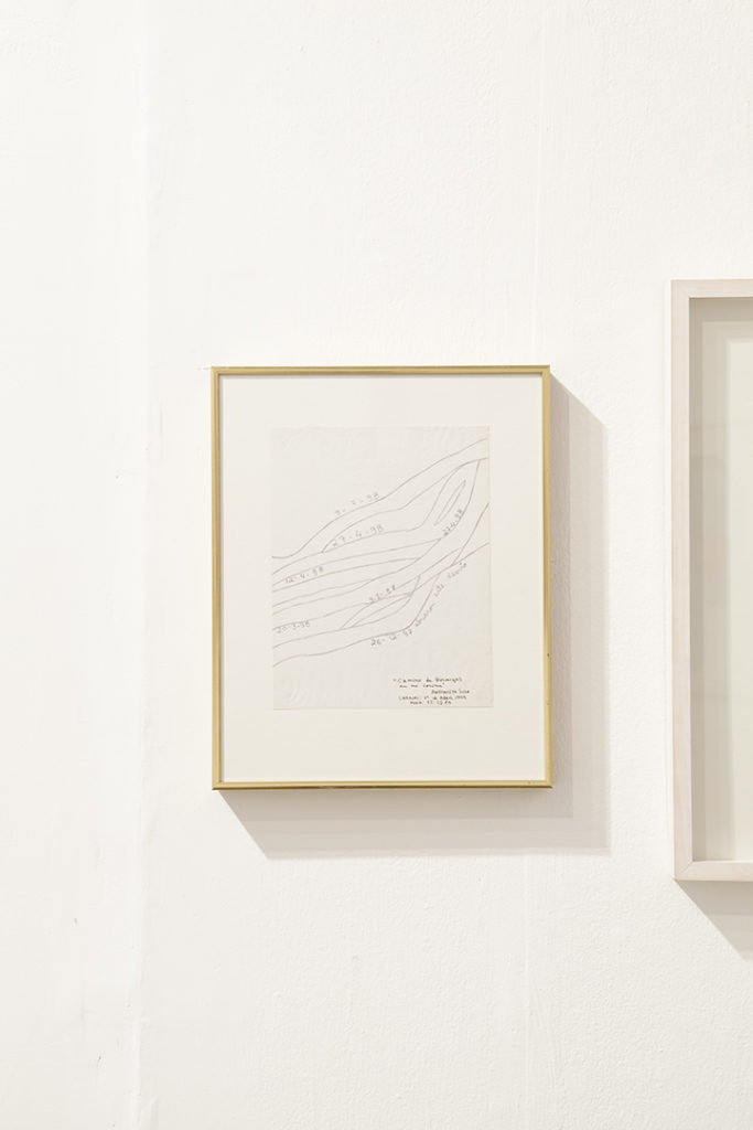 Antonieta Sosa | Camino de las hormigas | 1999 | Lápiz y sellado en tinta sobre papel | 28 x 21 cm 