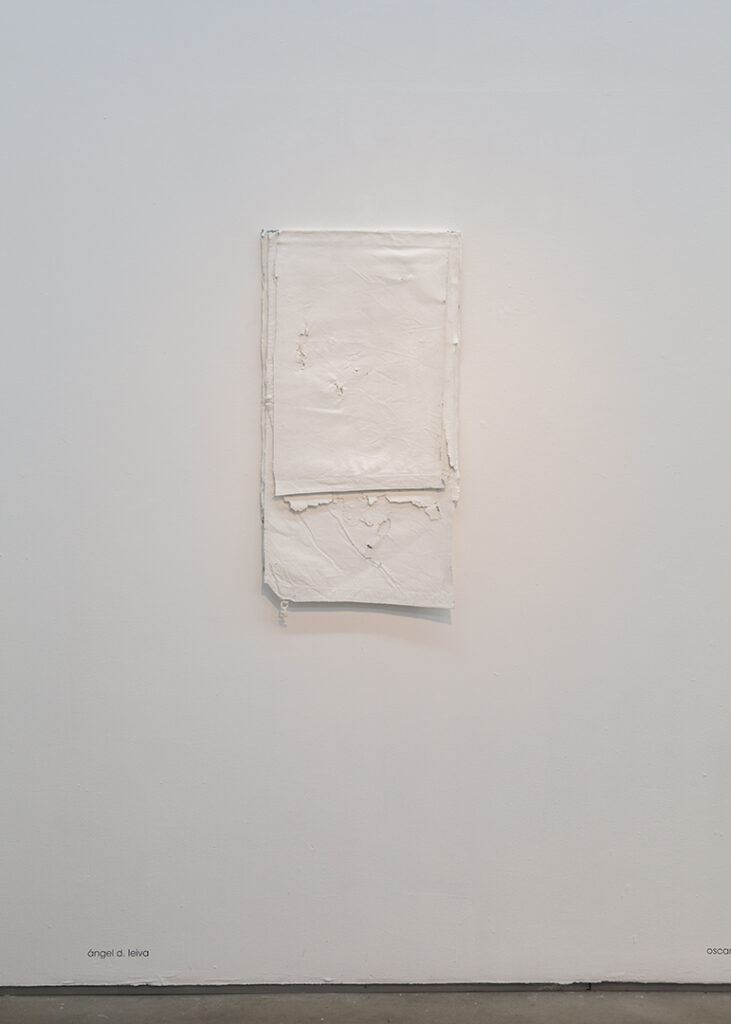 Ángel D. Leiva | S/T (blanco sobre blanco #2) | Acumulación. Pintura blanca sobre tela | 105 x 54 cm