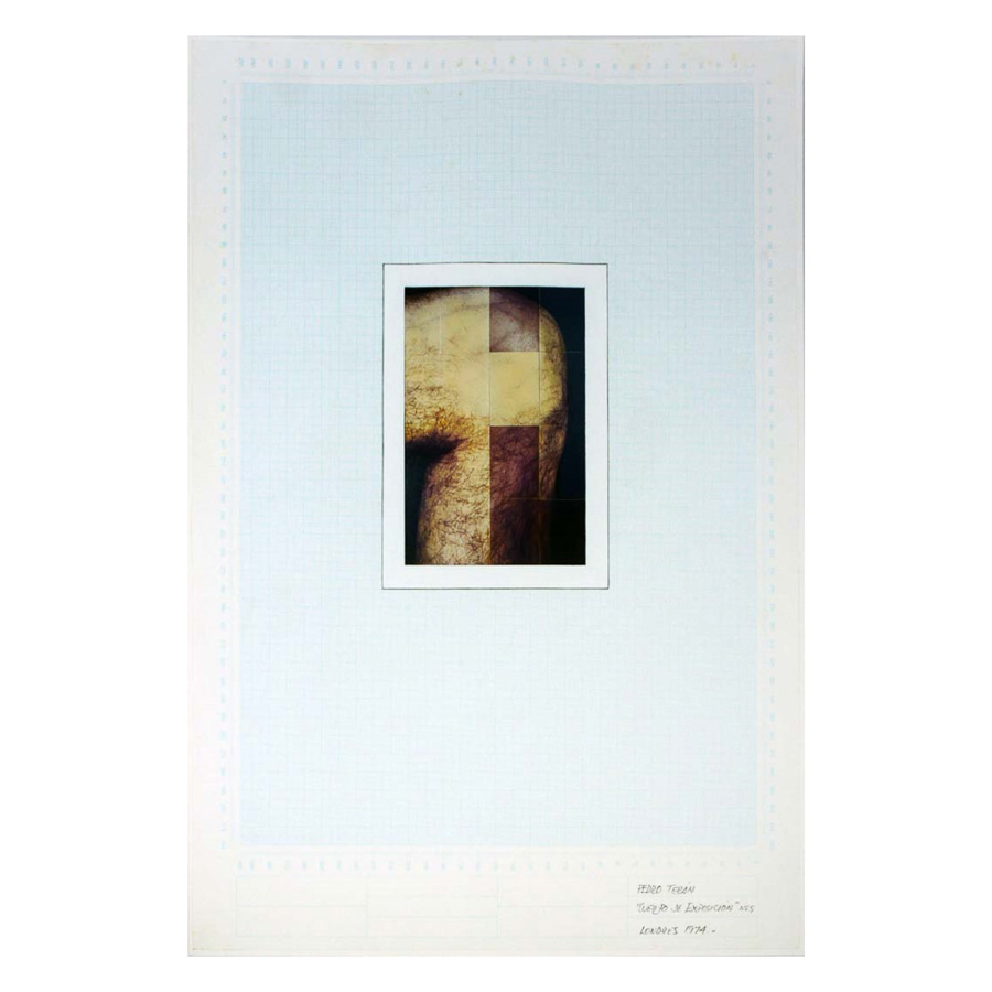 Cuerpo de exposición n° 5 | 1974 | Fotografías en infrarrojo sobre papel | 51 x 36 cm | Colección Mercantil 	  