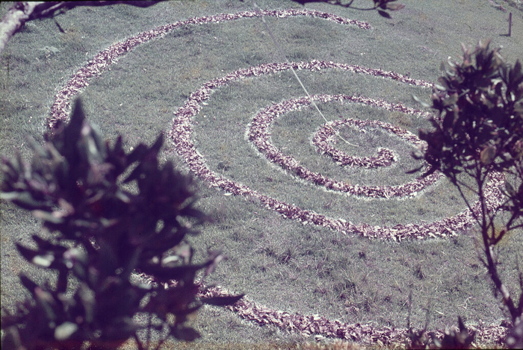 Luis Villamizar. Espiral de hojas, 1977. Colonia Tovar, estado Aragua. Registro fotográfico de acción-intervención en diapositiva 35mm.