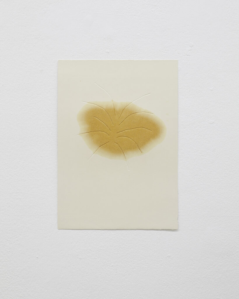 s/t (mancha amarilla) | óleo sobre tela | 35,5 x 25.1 cm | s/f