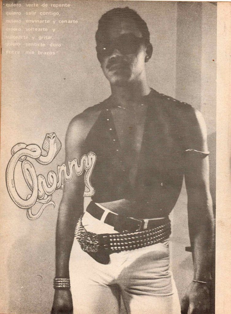 Luis Álvarez. Cherry. Fotografía para la sección “Entendivo”. En: Entendido, no. 8, Caracas, 1983, [p. 20].